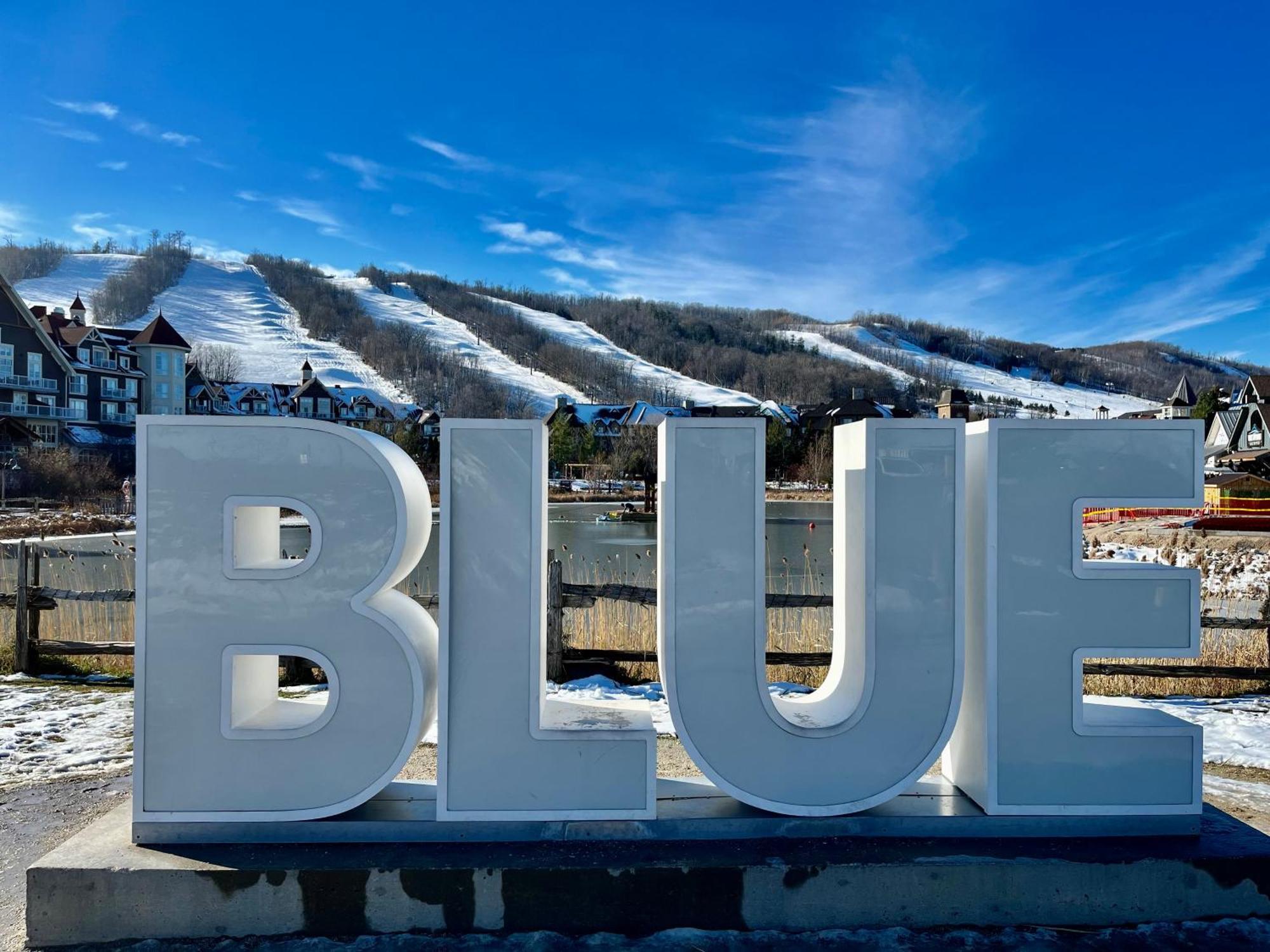 Blue Mountain Studio Oasis Blue Mountains Exteriör bild