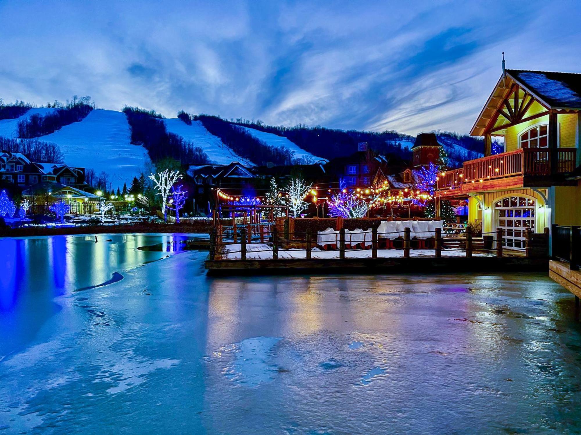 Blue Mountain Studio Oasis Blue Mountains Exteriör bild